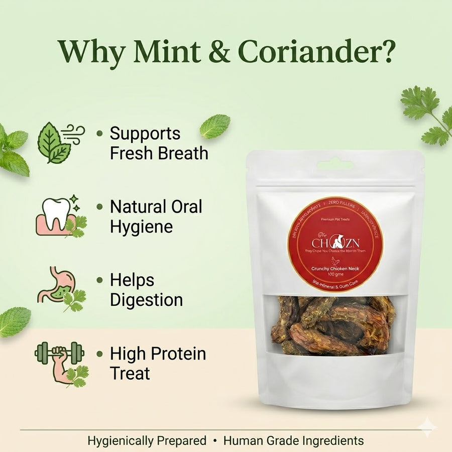 Dehydrated Chicken Neck with Mint & Coriander for Dogs | Calcium & Antioxidant Rich Natural Treats| The Chozn