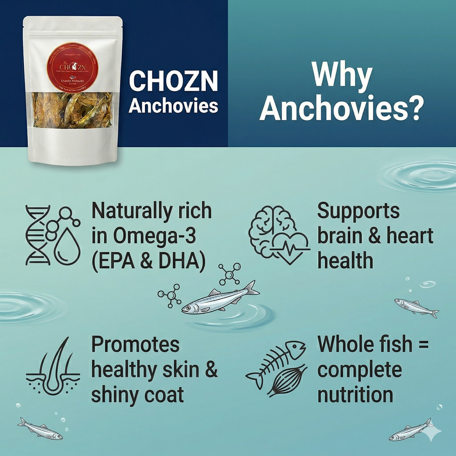 Crunchy Anchovies for Dogs | High Omega-3 Natural Dog Treats | CHOZN