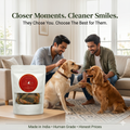 Dehydrated Chicken Neck with Mint & Coriander for Dogs | Calcium & Antioxidant Rich Natural Treats| The Chozn