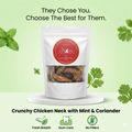 Dehydrated Chicken Neck with Mint & Coriander for Dogs | Calcium & Antioxidant Rich Natural Treats| The Chozn