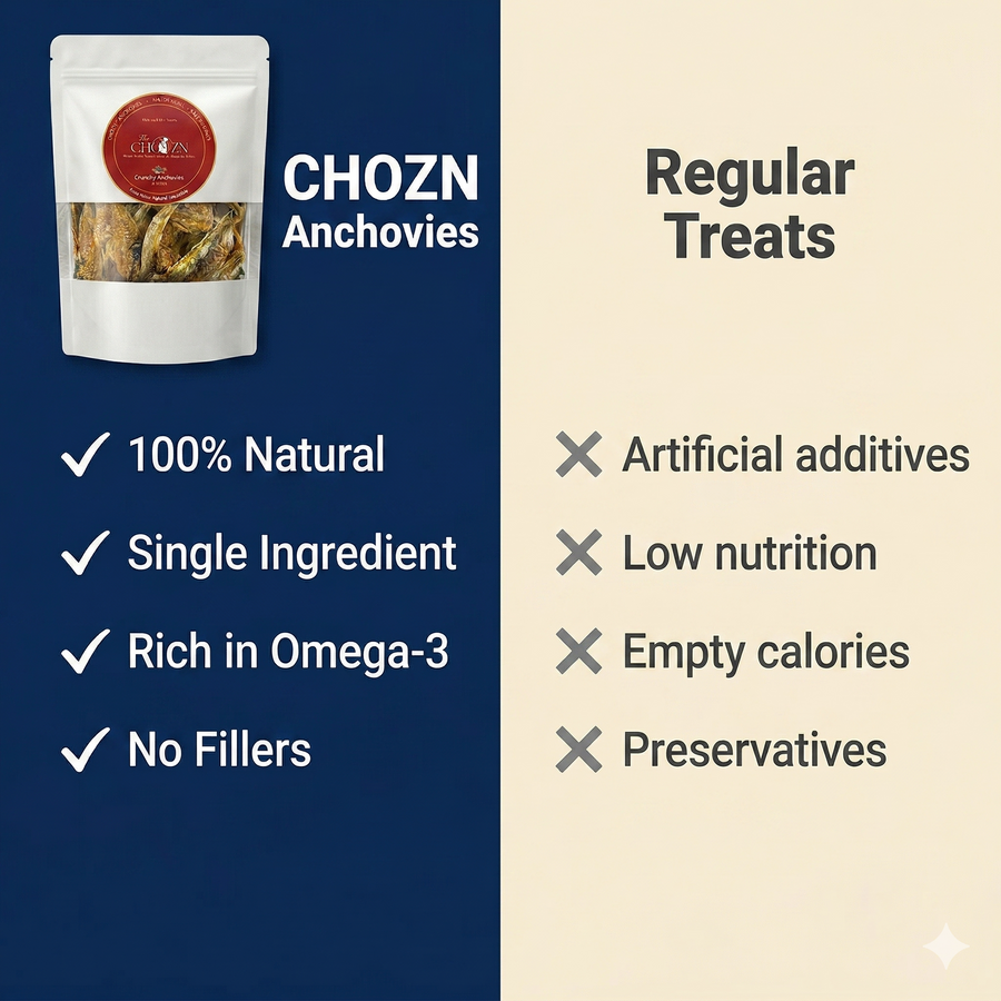 Crunchy Anchovies for Dogs | High Omega-3 Natural Dog Treats | CHOZN
