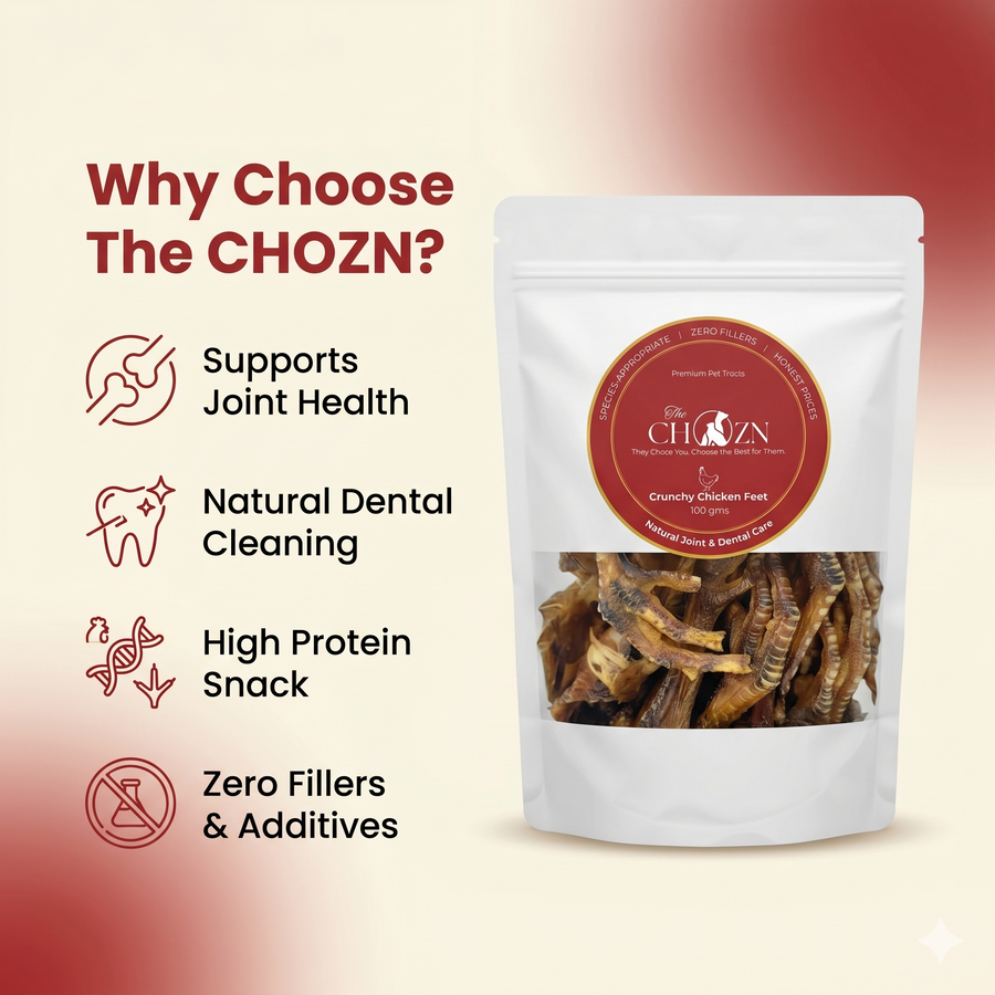 Classic Crunchy Chicken Feet for Dogs | Natural Joint & Dental Treat | The Chozn