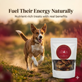 Dehydrated Chicken Neck with Beetroot for Dogs | Natural Calcium Rich & Dental Care Treats | The Chozn