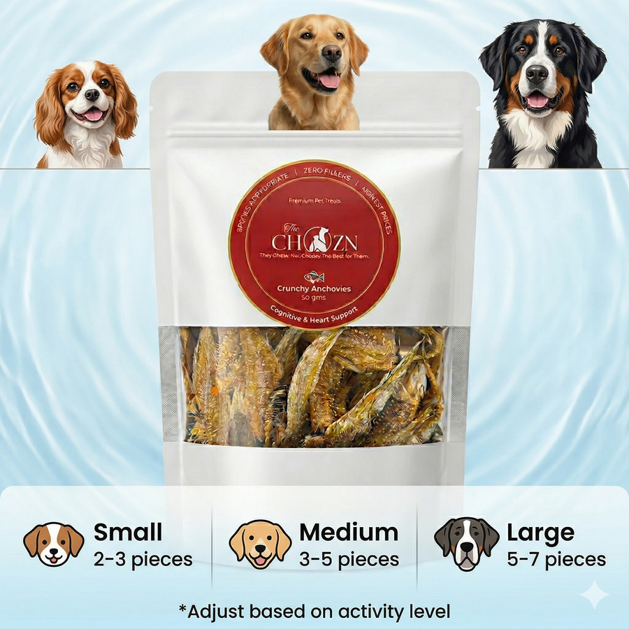 Crunchy Anchovies for Dogs | High Omega-3 Natural Dog Treats | CHOZN