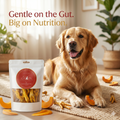 Dehydrated Chicken Feet for Dogs with Pumpkin | Natural Joint & Digestive Care Treats | The Chozn