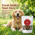 Dehydrated Chicken Feet for Dogs with Mint & Coriander | Natural Joint & Dental Treat | The Chozn
