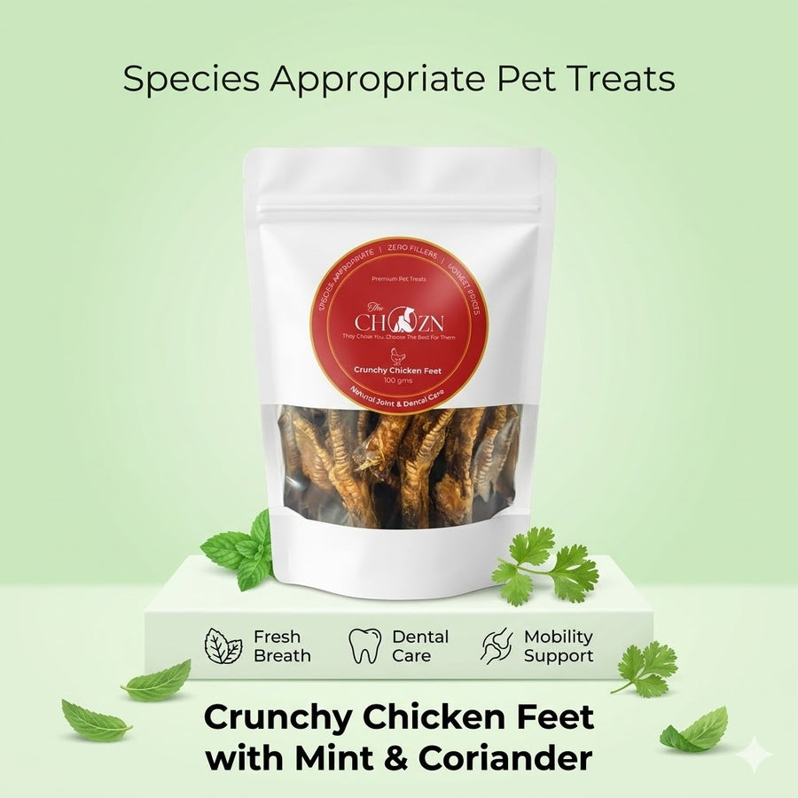 Dehydrated Chicken Feet for Dogs with Mint & Coriander | Natural Joint & Dental Treat | The Chozn